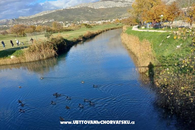 Holiday villa LUX – photo 21