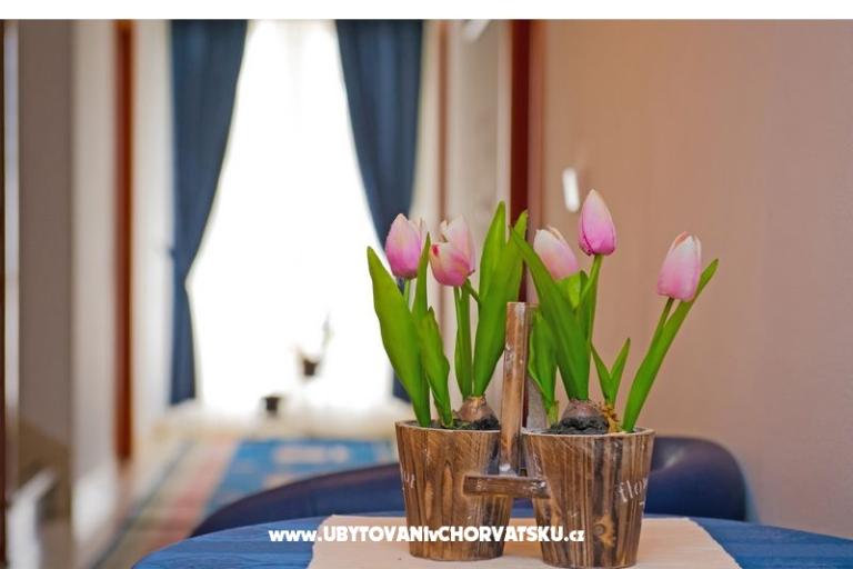 Villa Javor  – photo 3