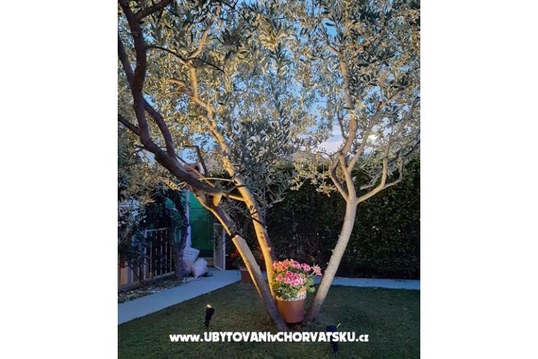 Apartments Marie – photo 16