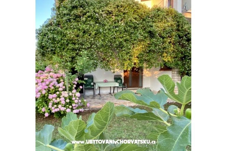Apartments Aleks-Ana – photo 9