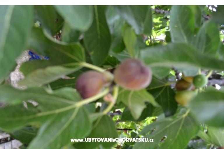 Apartments Lera – photo 7