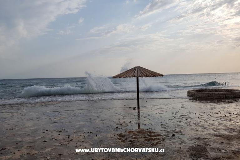 San Marko – photo 13