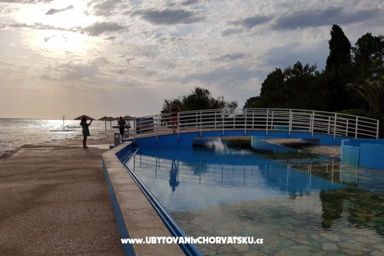 San Marko – photo 14