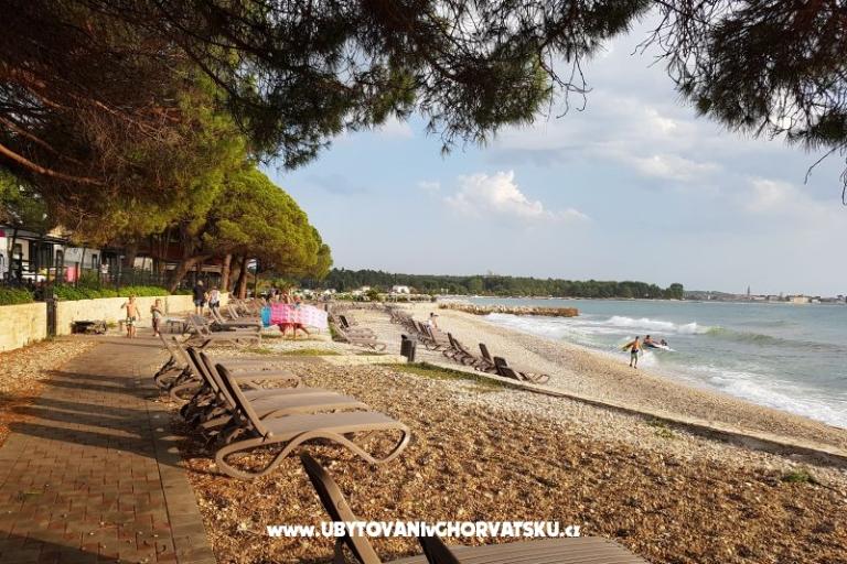 San Marko – photo 15