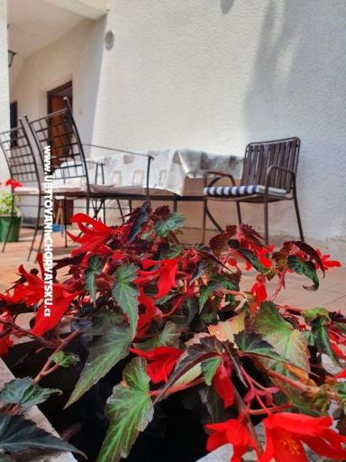 Apartments Kero – photo 12