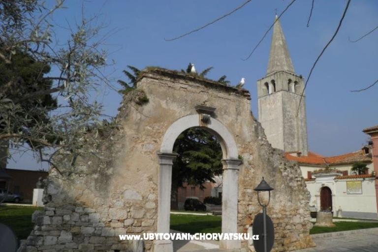 ALSIA – photo 12