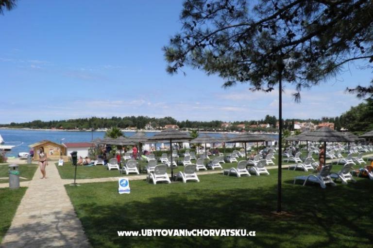 ALSIA – photo 15