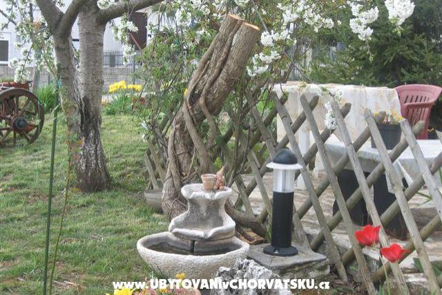 Oriana – photo 10
