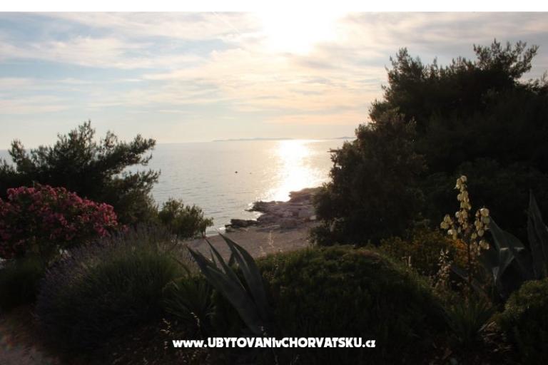 Apartment Brnistra – photo 13