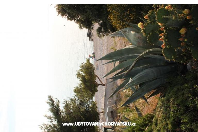 Apartment Brnistra – photo 14