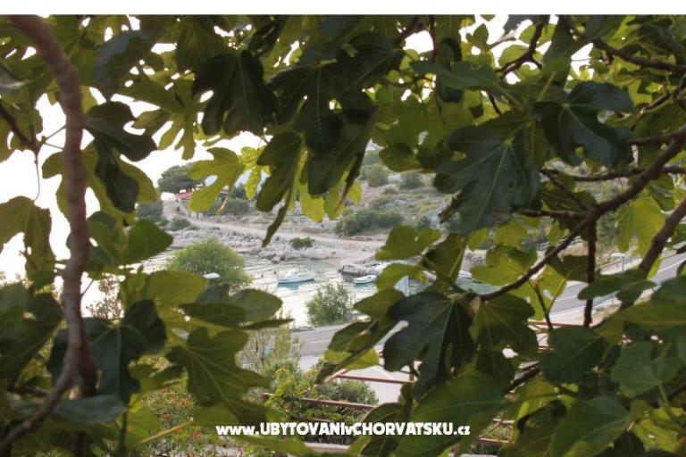 Apartment Brnistra – photo 16