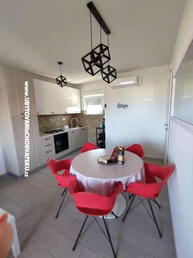 Apartment Cvitka – photo 3