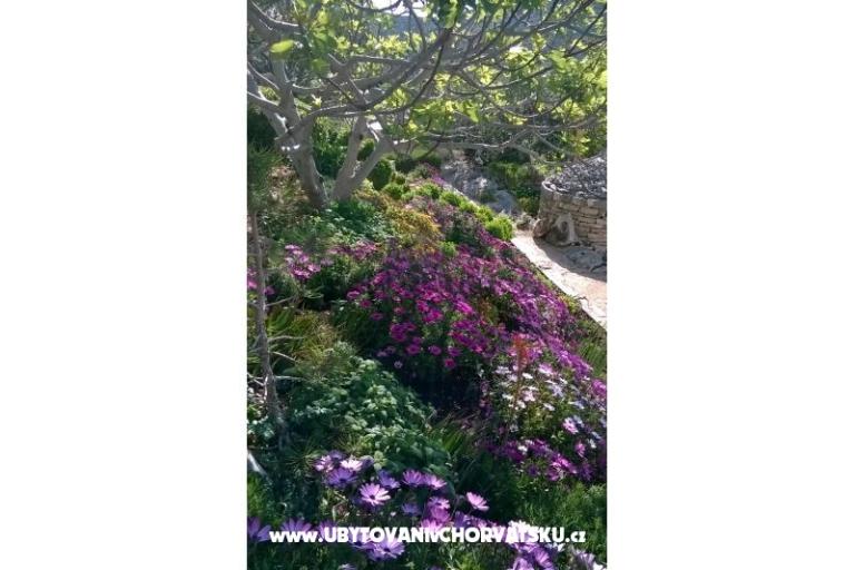 Apartments   Luka – photo 10