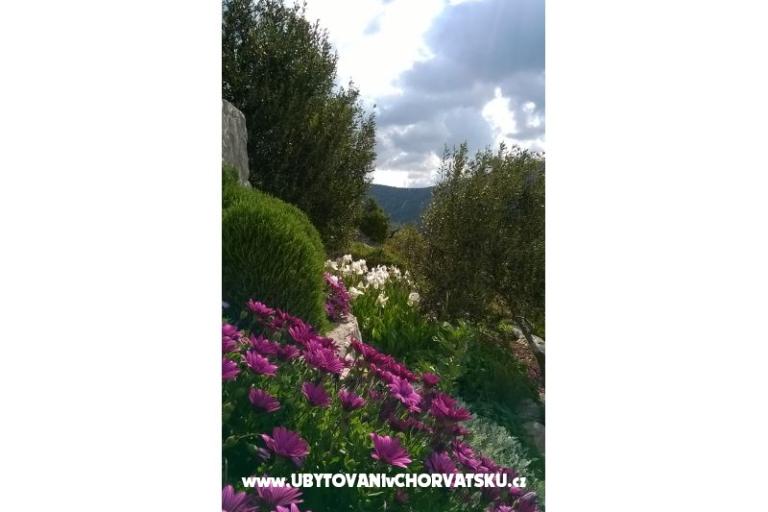 Apartments   Luka – photo 5