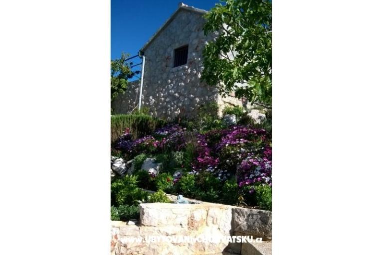 Apartments   Luka – photo 6