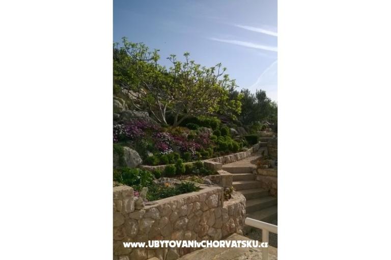 Apartments   Luka – photo 7