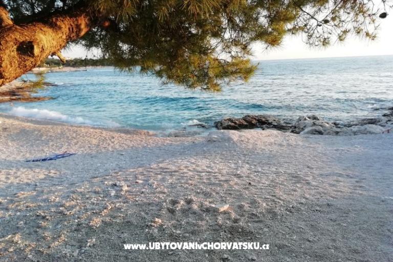 Apartments Andreja – photo 13