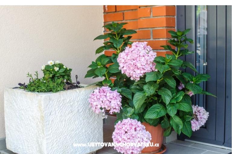 Apartments Andreja – photo 3