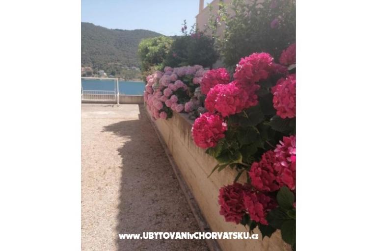 Apartments ANTONIA – photo 8