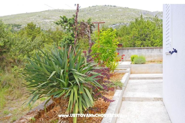 Apartments Matea – photo 3
