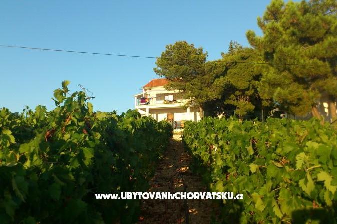 Apartments vila Diana – photo 8