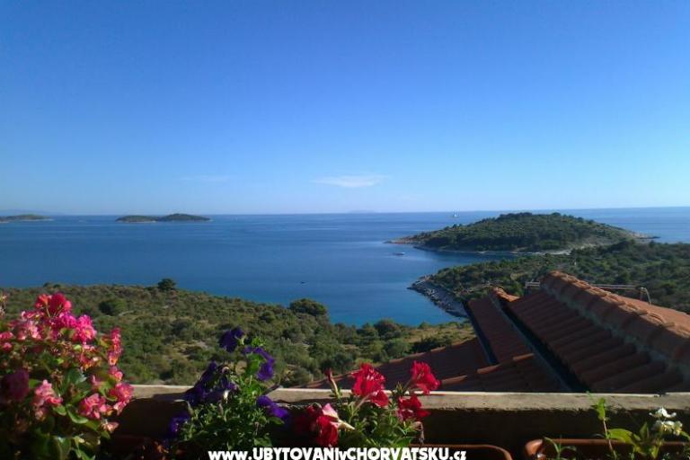 House Panorama  – photo 16