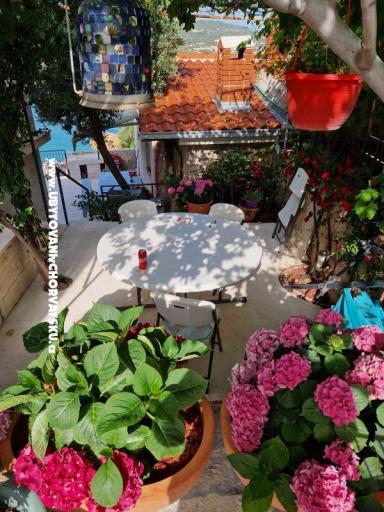 Villa Ivana  – photo 44
