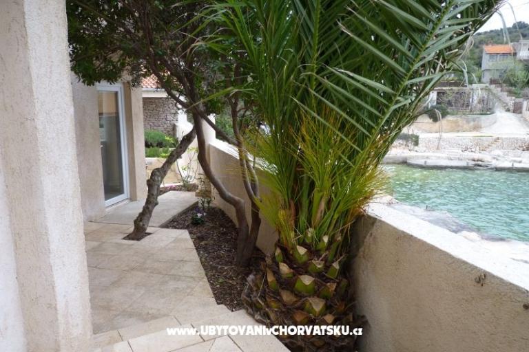 Villa Ivana  – photo 7