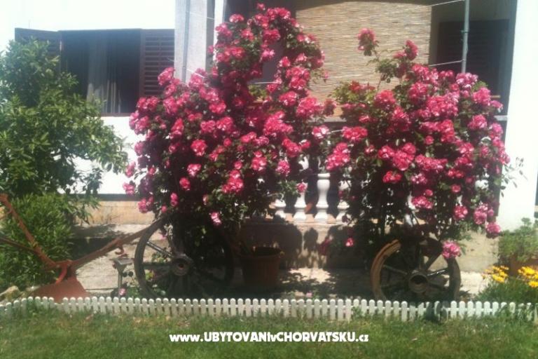 Apartment Luka – photo 15