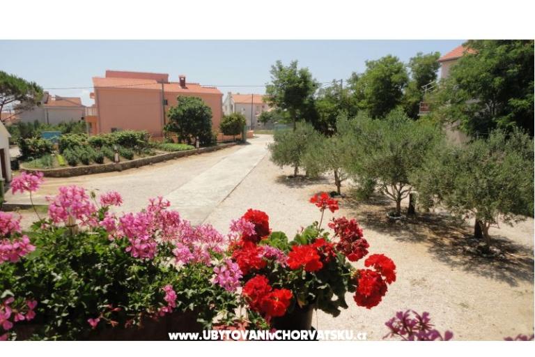Apartments Ankica – photo 9