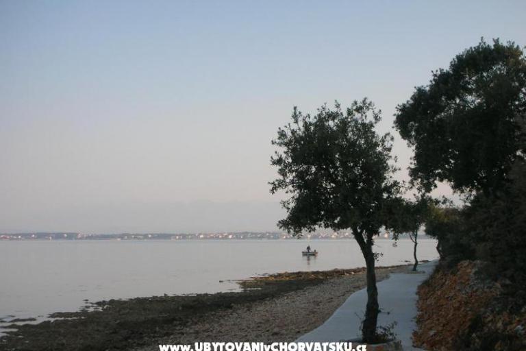 Apartments Mare & Berto – photo 7