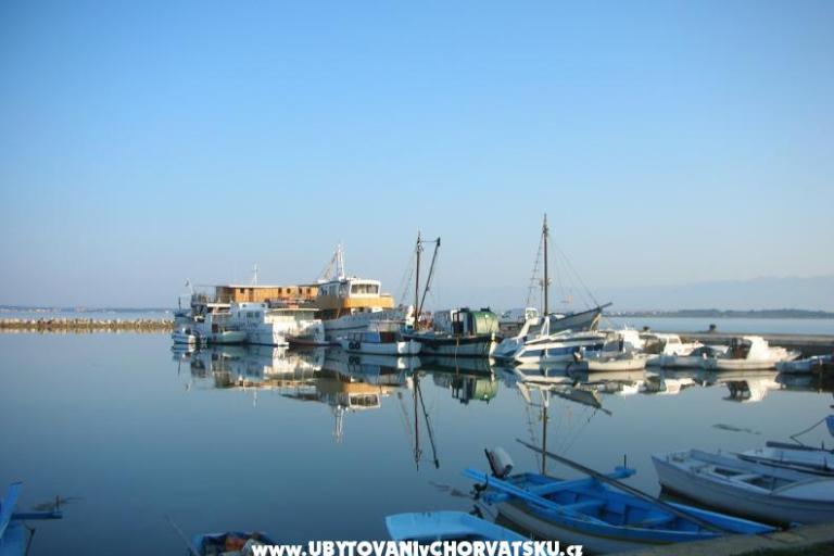Apartments Mare & Berto – photo 8