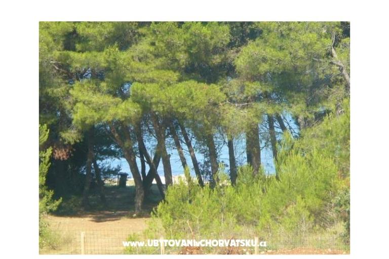 Apartments Dora – photo 4