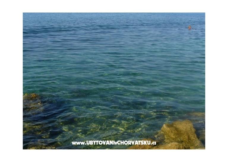 Apartments Dora – photo 7