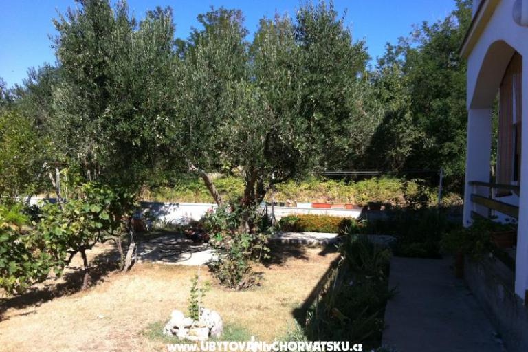 Apartments Ivan – photo 14