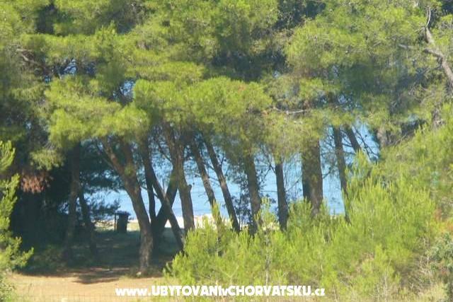 APARTMANI LANA – photo 7