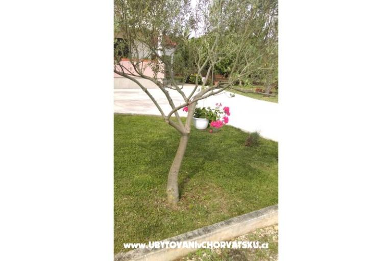 Apartments Tomi – photo 9