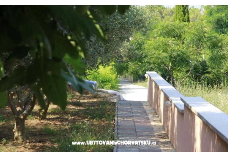 Apartments Toni – photo 17