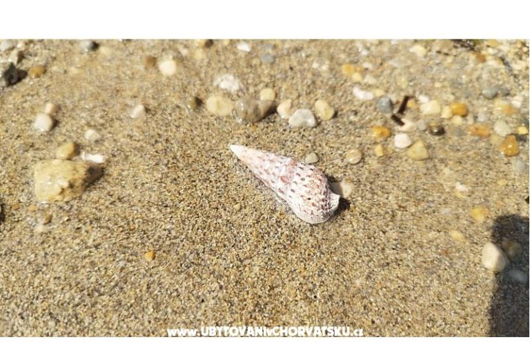 Apartments Liljana Ledinko – photo 22