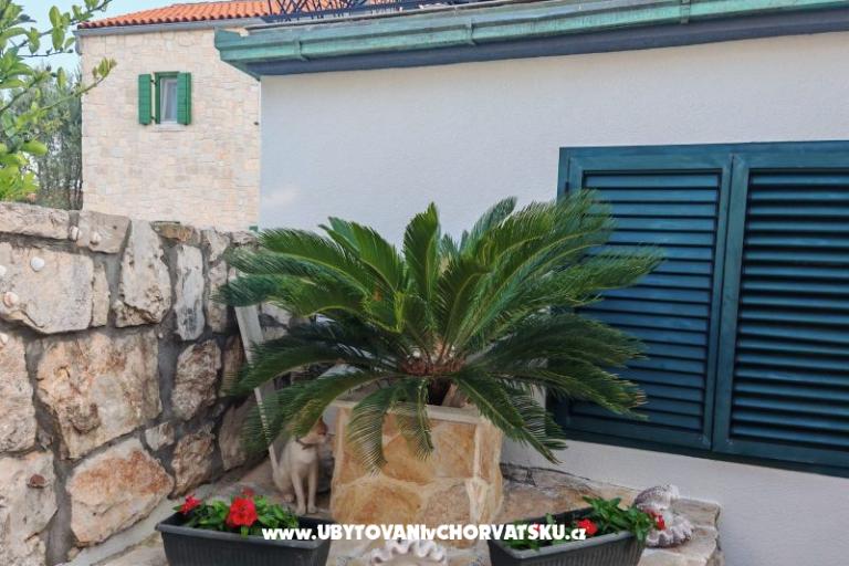 Apartments Liljana Ledinko – photo 9