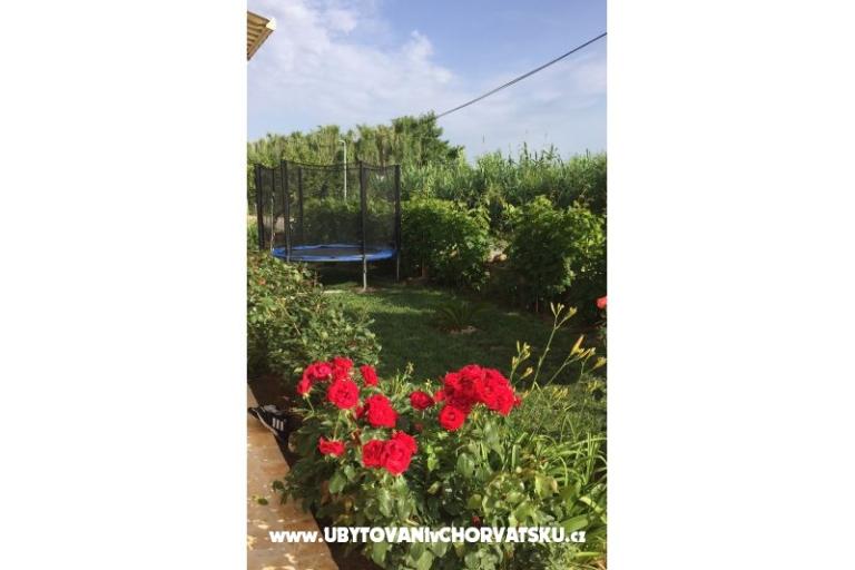 Apartments Lolo – photo 18