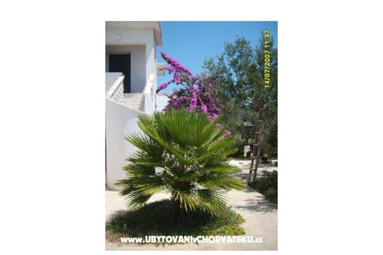 Apartments Šime – photo 5