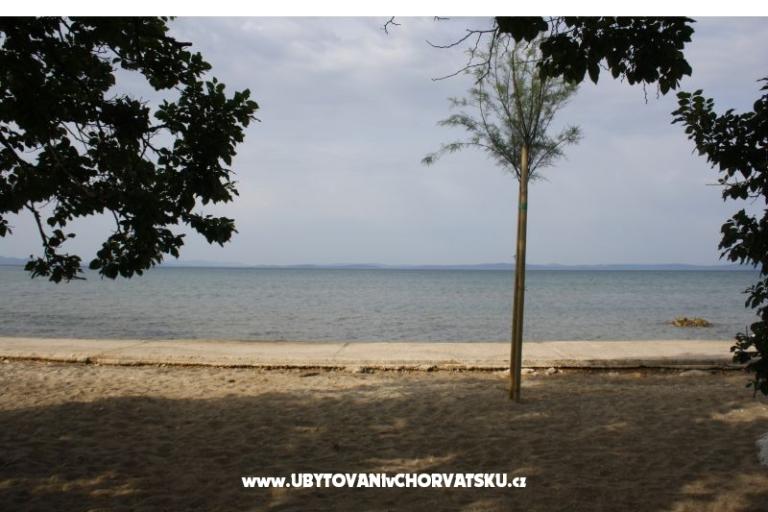 House Rose – photo 18