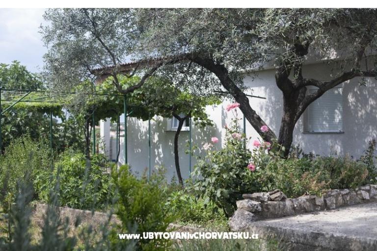 Apartment Lu&Li – photo 16