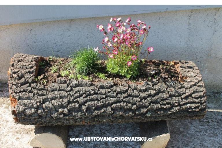 Affordable apartment FUMA – photo 11