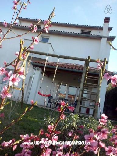 Apartment Green garden – photo 2