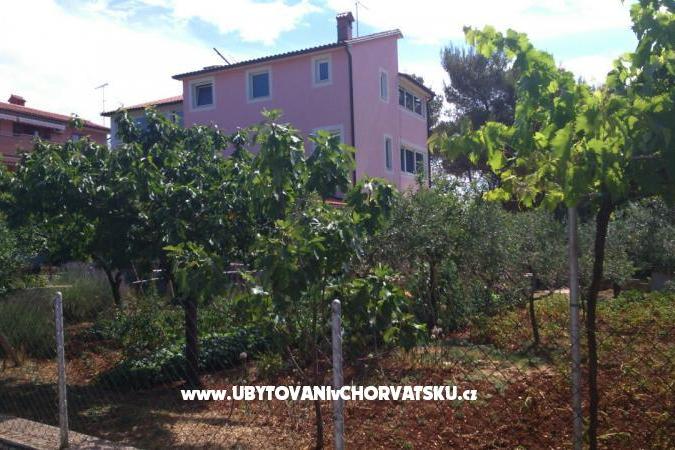 Apartment Maki – photo 2