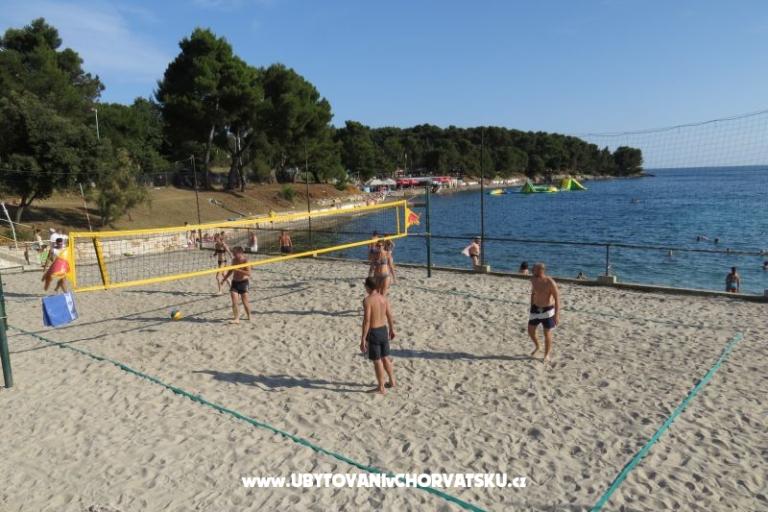 Apartment Stoja – photo 12