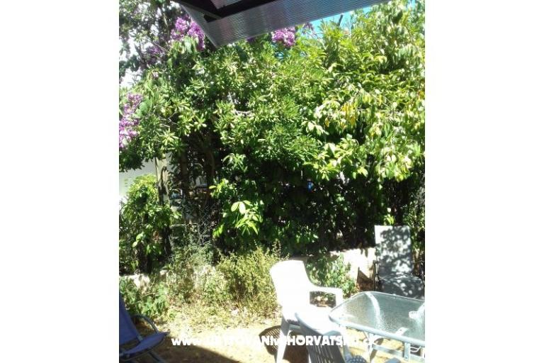 Apartment Zora Pula – photo 27