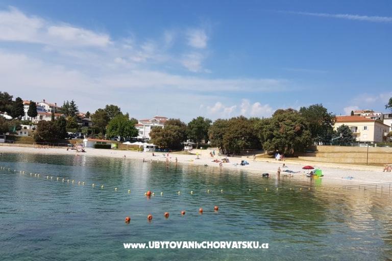 Apartments Perunika – photo 8